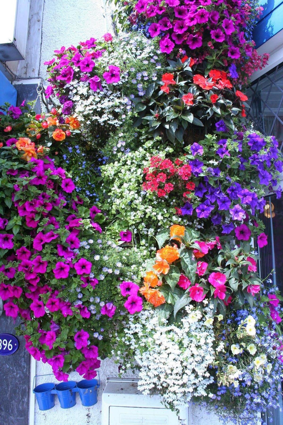 Devon View Guesthouse Суонси Экстерьер фото